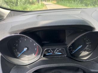 Ford C-Max C-Max 1.0 Titanium picture 13