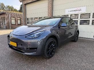 damaged passenger cars Tesla Model Y RWD 58 kWh Pano Leder 68725 Km NAP ! 2023/11