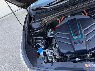 Kia e-Niro Dynamicline 64 kWh Navi Clima 58437 Km NAP ! picture 20