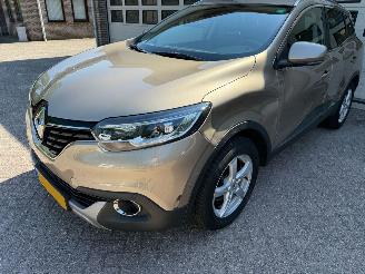 Renault Kadjar 1.2 TCe Intens Navi Clima Cruise picture 11