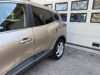 Renault Kadjar 1.2 TCe Intens Navi Clima Cruise picture 13