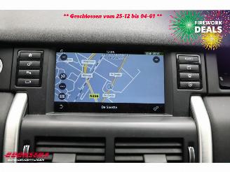 Landrover Discovery Sport 2.0 TD4 HSE VAN Commercial Navi Camera SHZ Leder picture 16