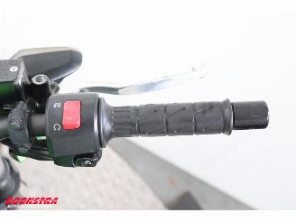 Kawasaki  Z 300 ABS picture 18