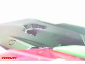 Kawasaki  Z 300 ABS picture 10
