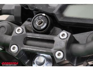Kawasaki  Z 300 ABS picture 13