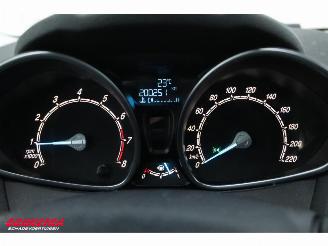 Ford Fiesta 1.0 EcoBoost Titanium Navi Clima Cruise PDC picture 18
