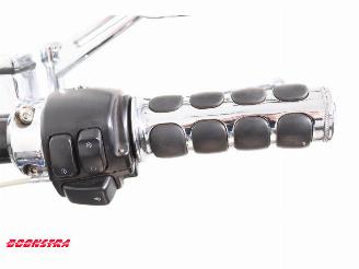 Harley-Davidson  FLSTF Fat Boy picture 13