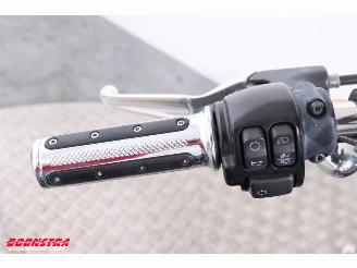 Harley-Davidson  XL1200C Sportster LED picture 15