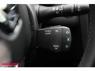 Renault Kadjar 1.3 TCe Limited LED Navi Clima Cruise PDC picture 21