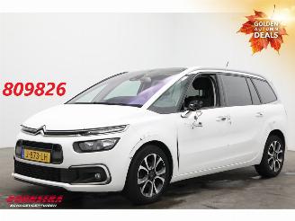 uszkodzony samochody osobowe Citroën Grand C4 SpaceTourer 1.2 PureTech Bns 7-Pers. Navi Clima Cruise Camera PDC AHK 46.725 km! 2020/9