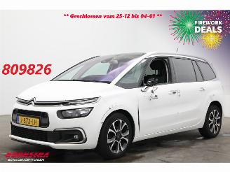 Damaged car Citroën Grand C4 SpaceTourer 1.2 PureTech Bns 7-Pers. Navi Clima Cruise Camera PDC AHK 46.725 km! 2020/9