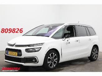 Voiture accidenté Citroën Grand C4 SpaceTourer 1.2 PureTech Bns 7-Pers. Navi Clima Cruise Camera PDC AHK 46.725 km! 2020/9