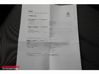 Skoda Enyaq 80 LED ACC Navi Clima Camera LRHZ SHZ picture 31