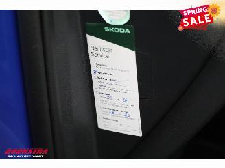 Skoda Enyaq 85 Sportline Matrix ACC LRHZ Camera Memory picture 27