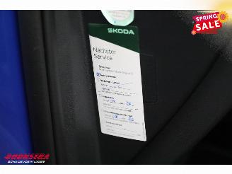 Skoda Enyaq 85 Sportline Matrix ACC LRHZ Camera Memory picture 27