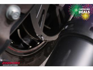 Indian  Challenger Dark Horse Cruise Heizgriffe SHZ Navi picture 11