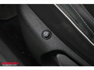 Renault Mégane Estate 1.3 TCe Bose Navi Clima Cruise Camera SHZ PDC AHK picture 28