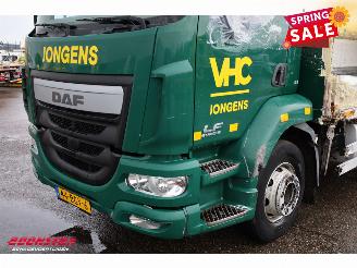 DAF LF 210 FA LBW Carrier Transicold 2xCompartments 313.910 km! picture 7