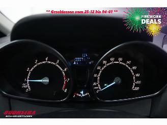 Ford B-Max 1.0 EcoBoost Titanium Navi Clima Cruise Camera PDC 139.571 km! picture 16