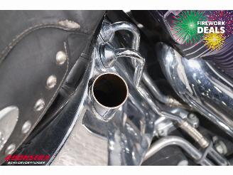 Harley-Davidson  FLSTC Heritage Softail Classic Python BY 2008 picture 12