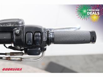 Harley-Davidson  VRSCD Night-Rod 5HD! picture 21