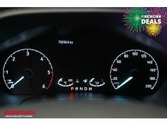 Ford Transit 2.0 TDCI Aut. L3-H2 Trend Navi Clima Cruise Camera PDC AHK picture 25