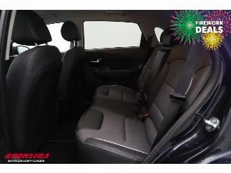 Kia e-Niro Edition 64 kWh LED ACC Navi Clima Camera LRHZ SHZ picture 13