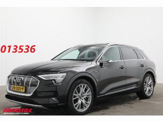 skadebil auto Audi E-tron 55 Quattro MirrorCam 360° Memory SHZ AHK 2019/5
