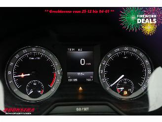 Skoda Octavia Combi 1.6 TDI Greentech Ambition Business Navi Clima Cruise SHZ PDC picture 24