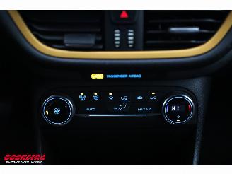 Ford Fiesta 1.0 EcoBoost Active Navi Clima Cruise Camera PDC picture 18