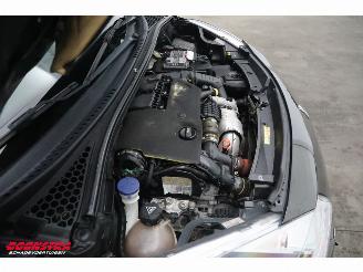 DS Automobiles DS 3 1.6 BlueHDi Business Navi Clima Cruise PDC picture 11