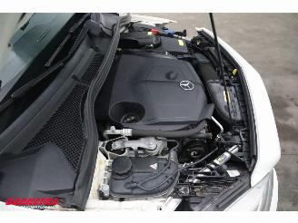 Mercedes B-klasse 220 CDI 7G-Tronic Ambition Navi Airco Cruise Camera PDC picture 7