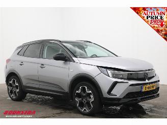 Opel Grandland 1.6 Turbo Plug-In Hybrid GS LED ACC Apple/Android LRHZ AHK picture 2