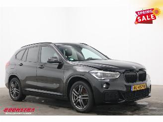 BMW X1 xDrive25d M-Sport Pano LED HUD H/K SHZ Camera picture 2