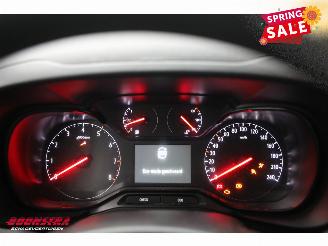 Opel Combo 1.5D L2-H1 Edition Navi Airco Cruise PDC picture 21