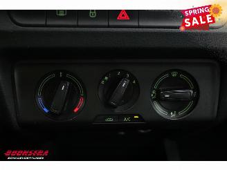 Skoda Fabia Combi 1.0 TSI Business Edition Navi Airco Cruise PDC AHK picture 28