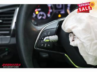 Skoda Fabia Combi 1.0 TSI Business Edition Navi Airco Cruise PDC AHK picture 21