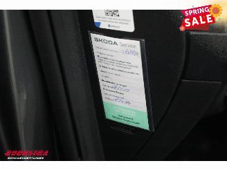 Skoda Karoq 1.5 TSI DSG Style LED Virtual ACC LRHZ Camera AHK picture 27