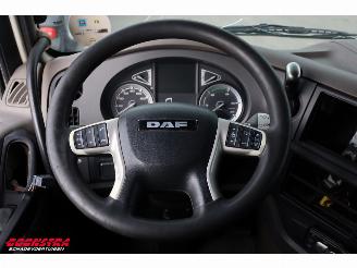 DAF XF 480 LBW Bak-Klep LBW Dhollandia Leder 6X2 picture 31