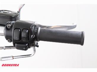 Harley-Davidson  FLSTC Softail Heritage LED picture 12