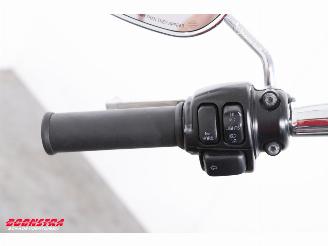 Harley-Davidson  FLSTC Softail Heritage LED picture 11