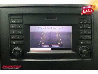 Mercedes Sprinter 516 BlueTEC 7G-Tronic DL Navi Airco Cruise Camera SHZ AHK picture 19