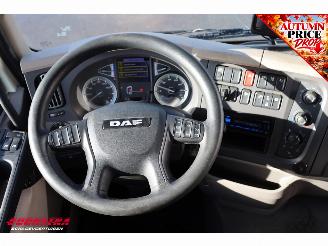 DAF LF 210 FA Aut. LBW Bak-Klep Dhollandia ACC 368.328 km! picture 22