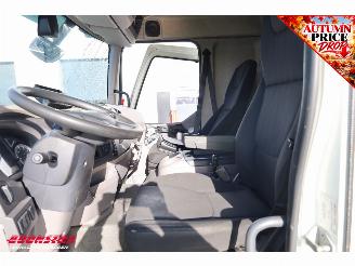 DAF LF 210 FA Aut. LBW Bak-Klep Dhollandia ACC 368.328 km! picture 29