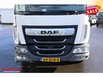 DAF LF 210 FA Aut. LBW Bak-Klep Dhollandia ACC 368.328 km! picture 14