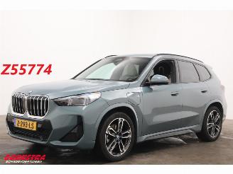 Vaurioauto  passenger cars BMW X1 xDrive30e M-Sport Pano LED Leder Memory Camera AHK 2024/5