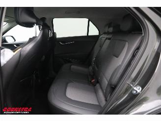 Kia Niro Light Advanced 64.8 kWh LED ACC Navi Clima Camera SHZ picture 19
