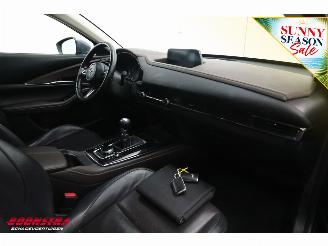 Mazda CX-30 2.0 e-SkyActiv-X M Hybrid Comfort Leder HUD Memory Camera SHZ LRHZ picture 9