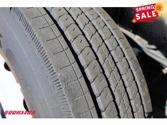 DAF CF 260 FA Turboschaden Carrier Iceland Twincooler LBW 360° Euro 6 picture 32