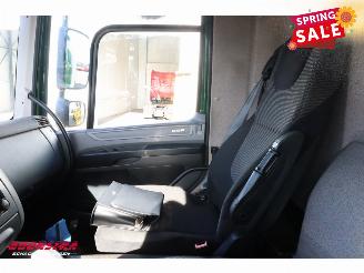 DAF CF 260 FA Turboschaden Carrier Iceland Twincooler LBW 360° Euro 6 picture 26